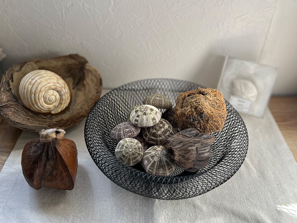 ラパウニ・ブンブク・ヤツシロガイ・ニッパヤシ・ゴバンノアシ